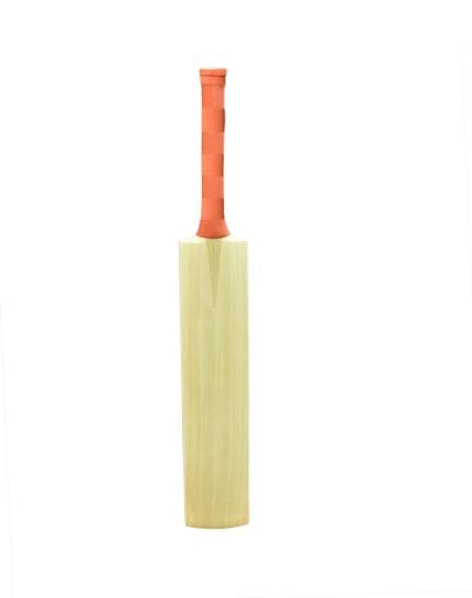 Shredded Prophysique Kashmir Willow Cricket Bat with Cover