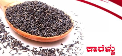 Kodli Kisan Niger Seeds  1kg | Premium Quality, Rich in Healthy Fats & Naturally Grown