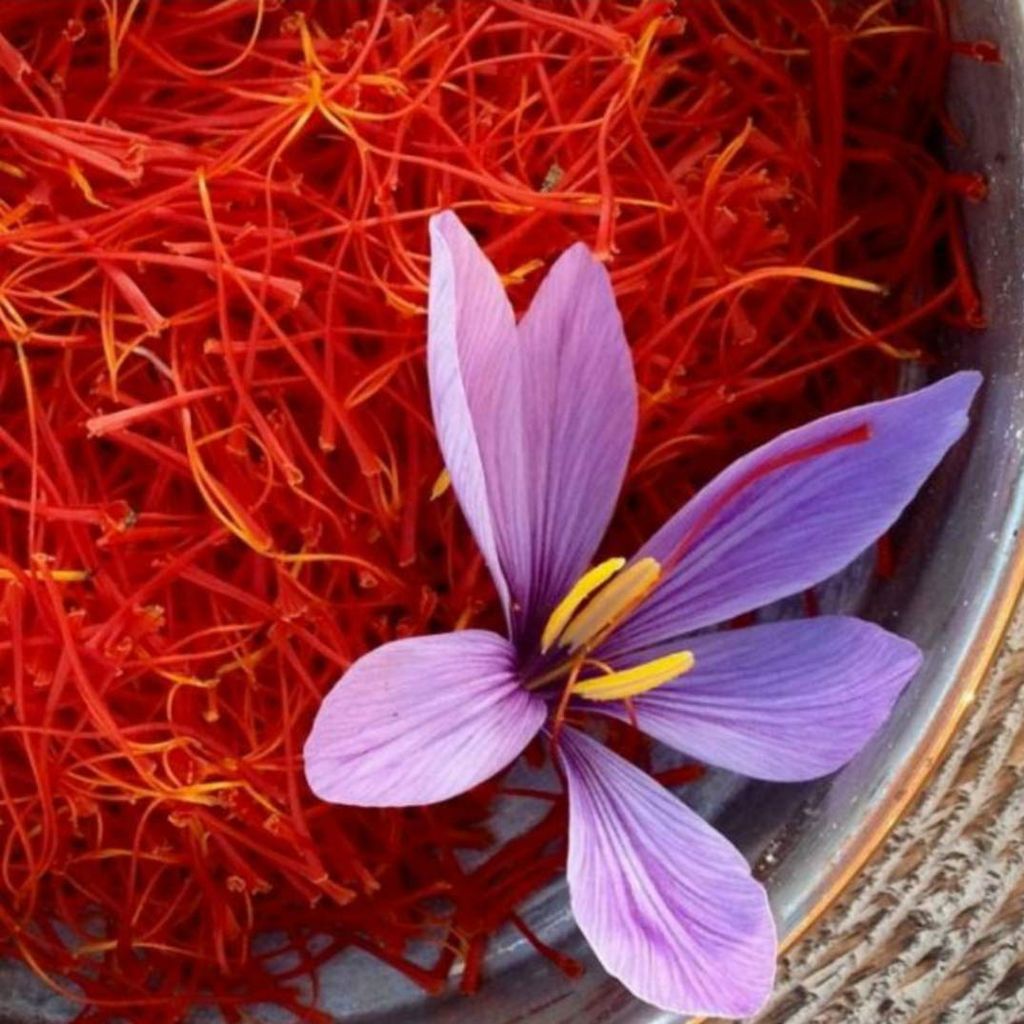 PNC- Saffron 01 GMS Each Pack of 02