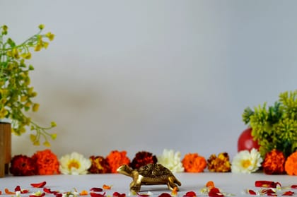 Brass Turtle Statue (Color - Golden, Size - 3.25H *3.25L*2.25B) by Snova Enterprises