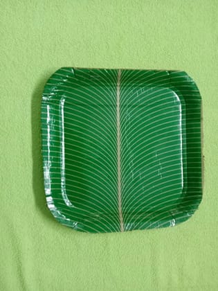 EcoFriendly Biodegradable Paper Plate Set