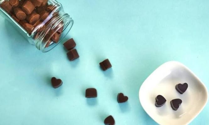 The Twenty Handmade Chocolates