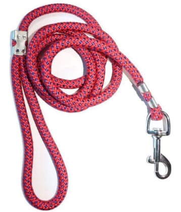 Tame Love - Multicolor Dog Leash (Medium)