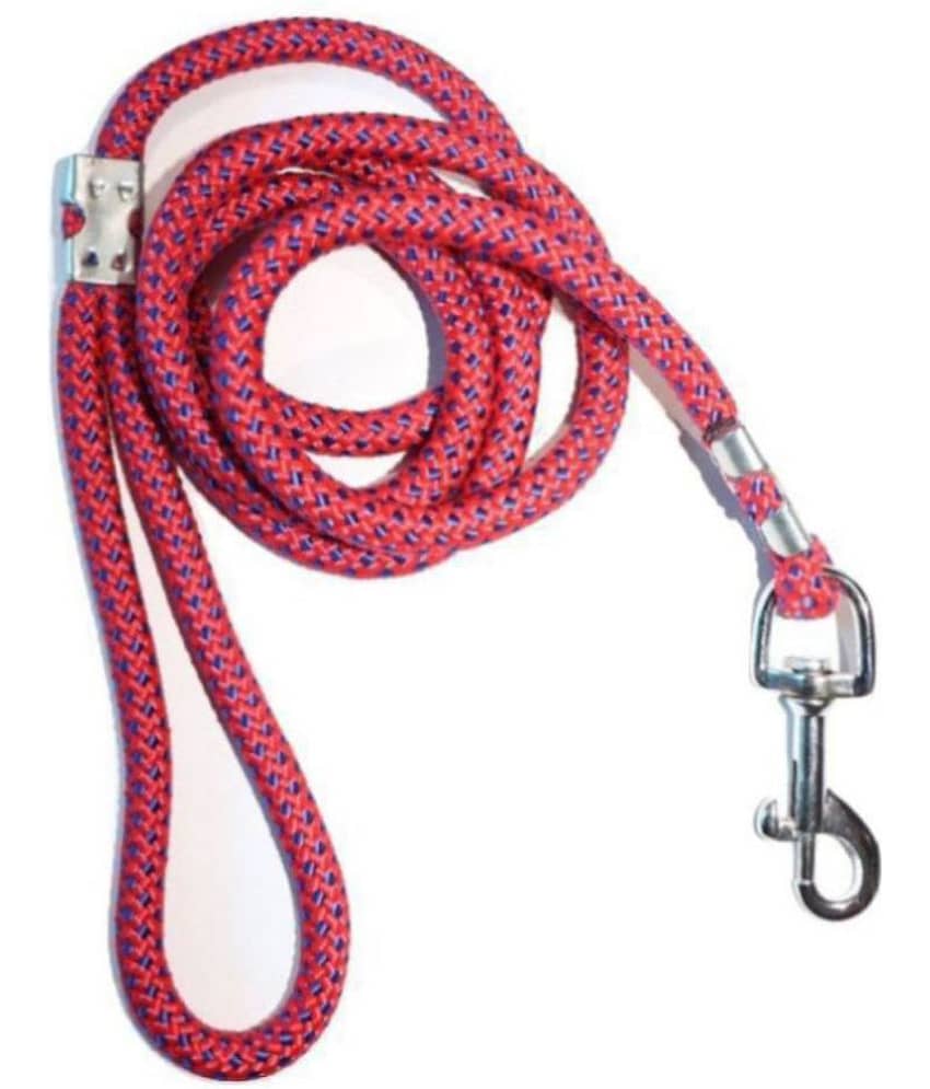 Tame Love - Multicolor Dog Leash (Medium)