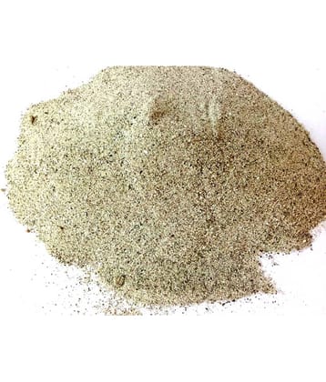 Green plant indoor - Natural Decorative