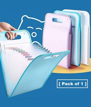 Purple Dust 13 Pocket Document File Folder with Handle – Expanding Plastic File Organizer for Certificates, Office Papers, School Assignments and Travel Documents - Pack of 1