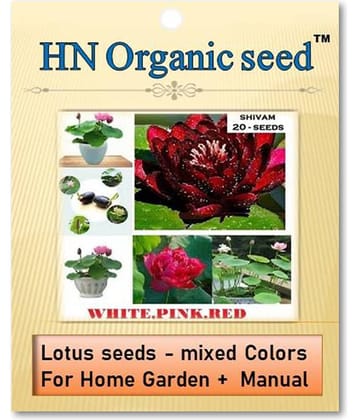 homeagro - Flower Seeds ( Lotus seeds -mixed colours 20 seeds )