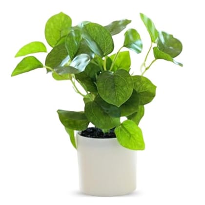 Ekhasa Nostrae Money Plant, Pothos Artificial Plants for Home Decor with Pot (22 CM) | Fake Faux Show Decor Indoor