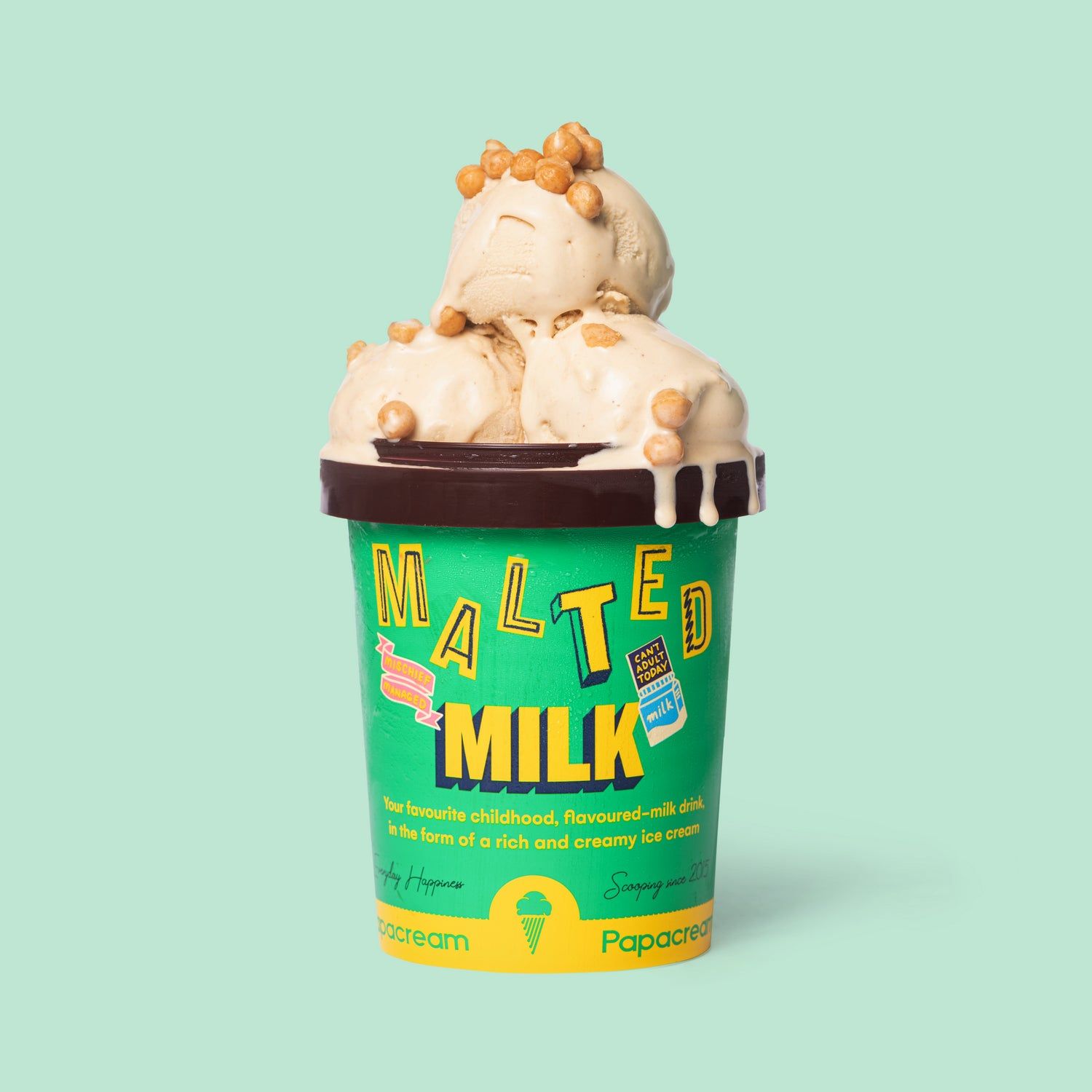 PAPACREAM MALTED MILK 500ML