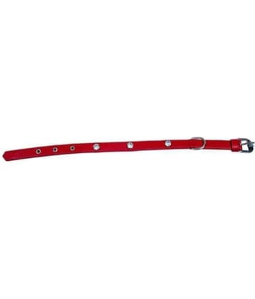 Tame Love - Red Dog Collar (Small)