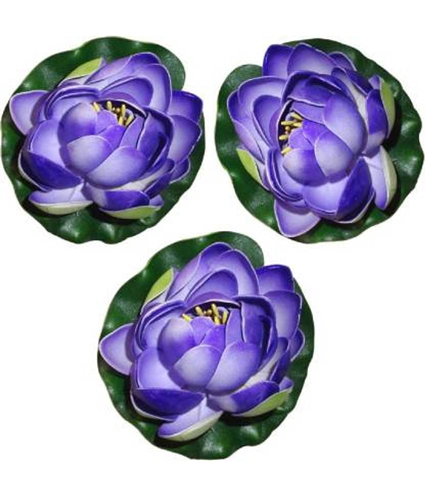 Green plant indoor Lotus Blue Floating Flowers - Pack of 3