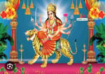 Jai Maa Traders