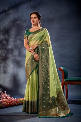 Light Green Soft Organza Woven Jacquard Saree