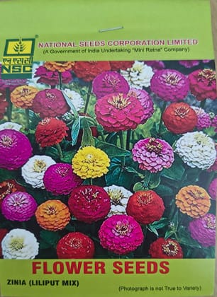 NSC Zinnia (Liliput Mix) Seed, 5gm