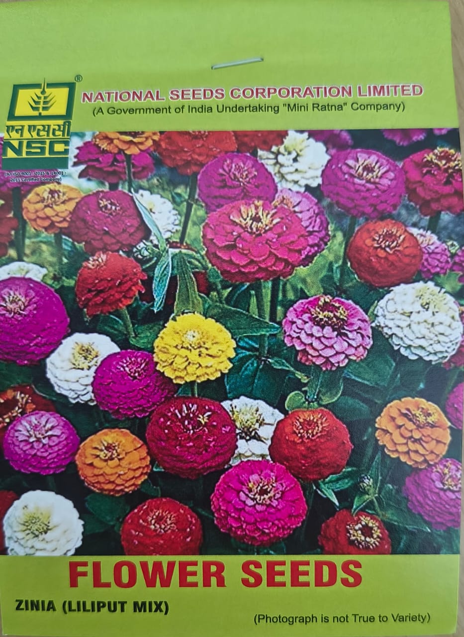 NSC Zinnia (Liliput Mix) Seed, 5gm