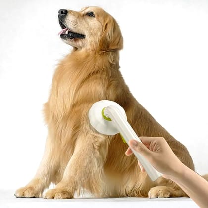 Easy Hair Removal Cat and Dog Grooming Brush Pack of 1 (Color - Multi, Brand - DC) by Ruhi Import Store