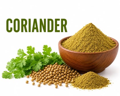 Coriander