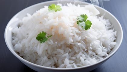 Extra Rice