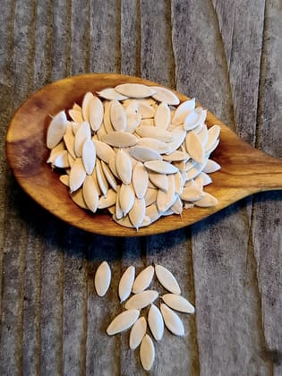 Premium  Cucumber Seeds - 500g