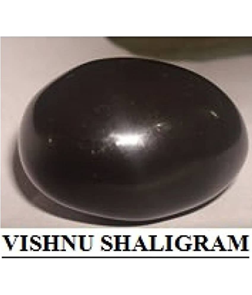 Shaligram - Marble (Pack of 1)