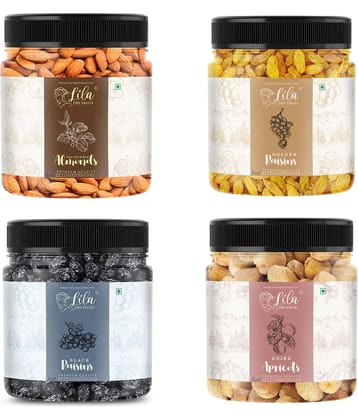 Lila Dry Fruits Combo Almonds, Green Raisin, Black Raisin, Apricots 100 Grams Each (100g x 4)