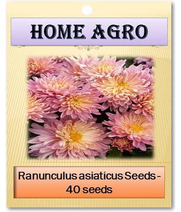 HN organic seed - Flower Seeds ( 40 )