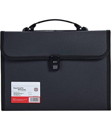 13 Pocket Accordian File Organizer Expanding File Folder for FC A4 Paper, Briefcase File Case with Durable Handle & Buckle Closure for School Home Business (Black)