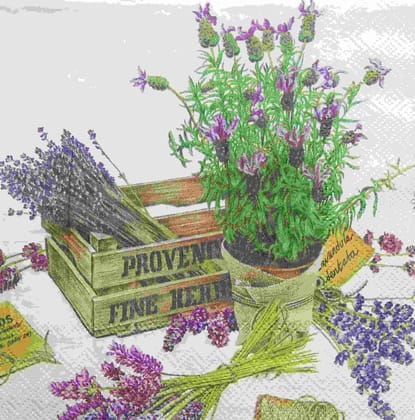 Decoupage Napkin / Tissue papers - GT1690