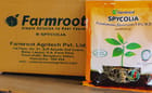 ... ...