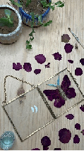 Vintage Butterfly Pressed Flower Frame Handmade Botanical Wall Art for Home & Gifts