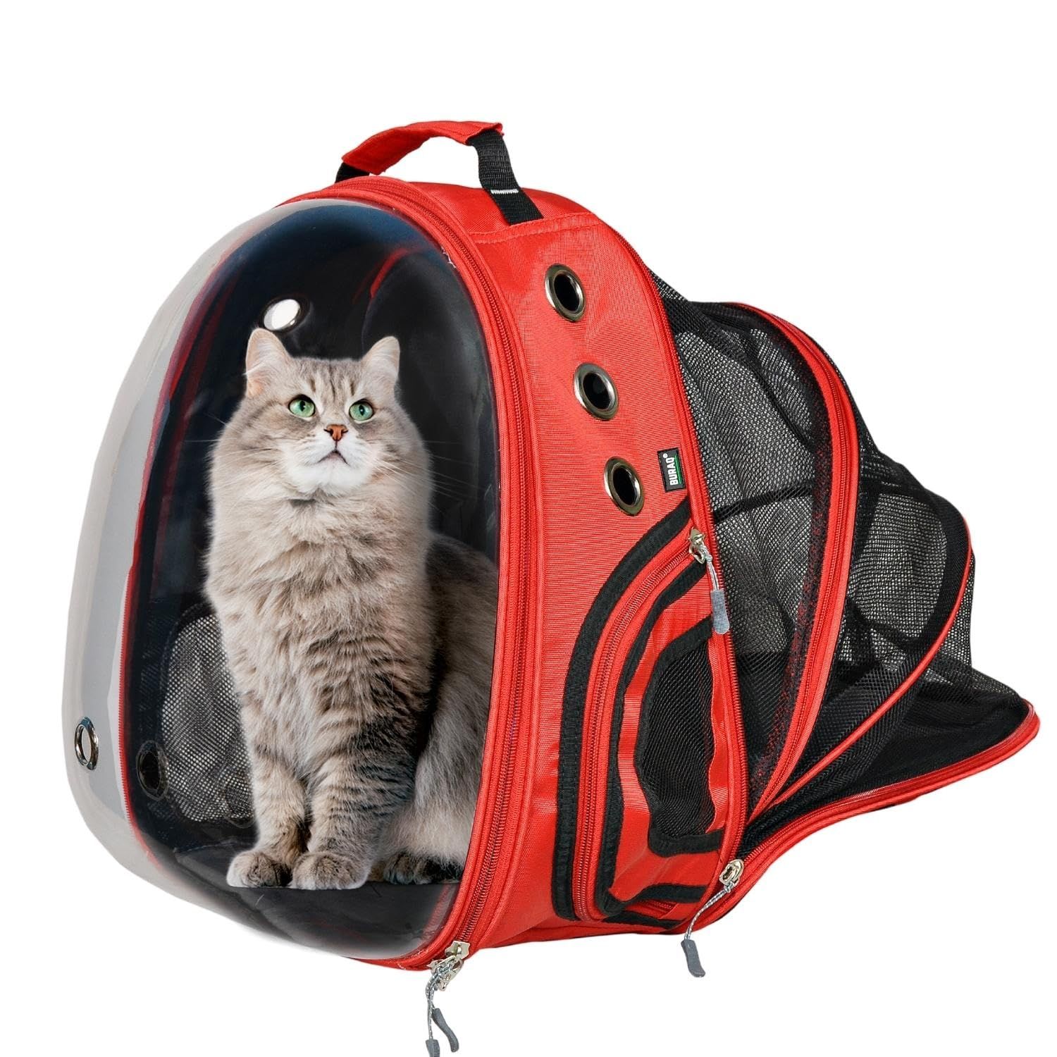 Buraq Expandable Astronaut Bubble Window Pet Carrier Backpack, Breathable Space, Stylish Secure & Ventilated Travel Bag for Cats (Black)-RED