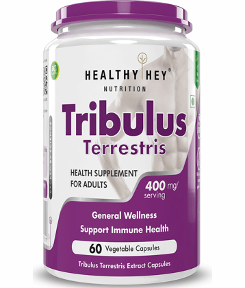 HEALTHYHEY NUTRITION Ayurvedic Capsule 700 mg ( Pack of 1 )