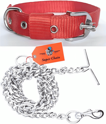 super chain - Blue Combo (Collar Belt and Leash) ( Small )