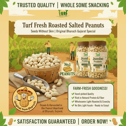 TURF FRESH - Jumbo Roasted Salted Peanuts | Bharuch Gujarat Special Mungfali Dana Namkeen | Grade A Premium Peanut Seeds Without Skin | Healthy Snack & Chakna TURF FRESH - Jumbo Roasted Salted Peanuts | Bharuch Gujarat Special Mungfali Dana Namkeen | Grade A Premium Peanut Seeds Without Skin | Healthy Snack & Chakna