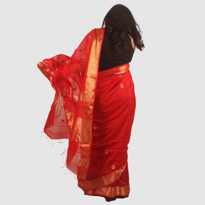Ruby Red Maheshwari Silk Cotton Saree with Golden Zari Border