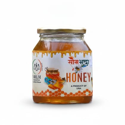 Som Bhadra Honey - 1 kg - One glass jar