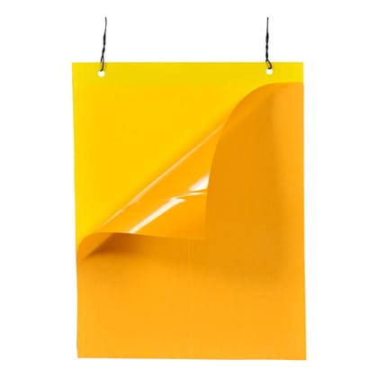 Sticky Trap (22×28 cm) Yellow  by Palvi industries
