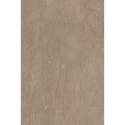 Somany  Moliere Brown 180 Engravo MT V2