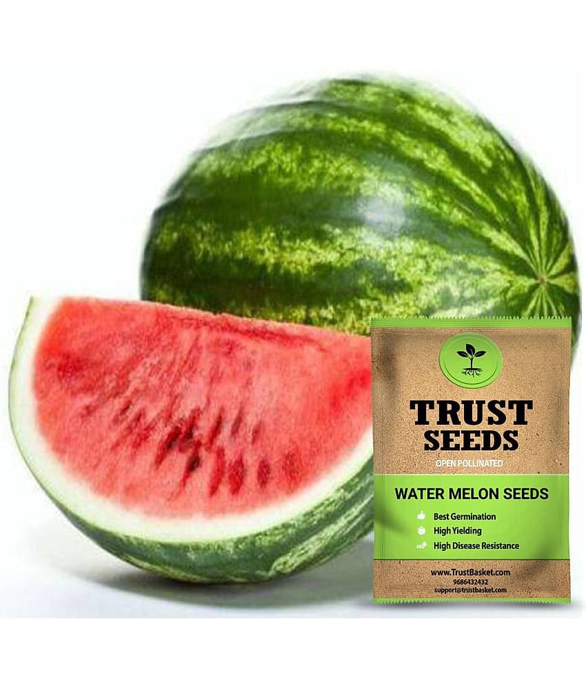 TrustBasket Water MelonOP