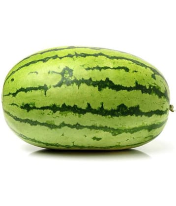 Watermelon Seeds, Water Melon Striped Oval Tarbooz Pack Of 20 Seeds