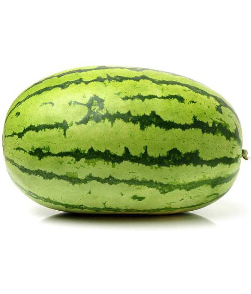 Watermelon Seeds, Water Melon Striped Oval Tarbooz Pack Of 20 Seeds