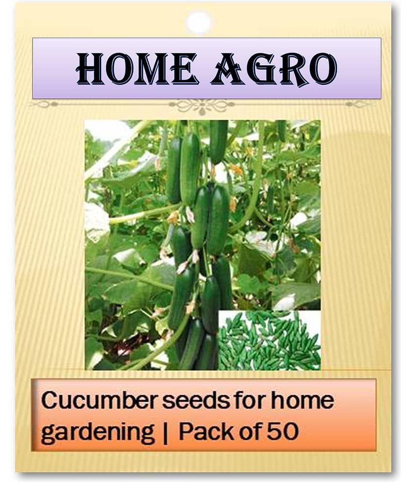 HN organic seed - Vegetable Seeds ( 50 )