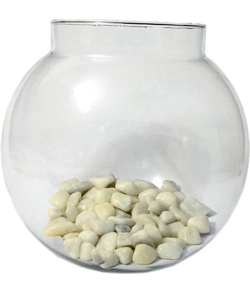 Somil - Glass Fish Bowl