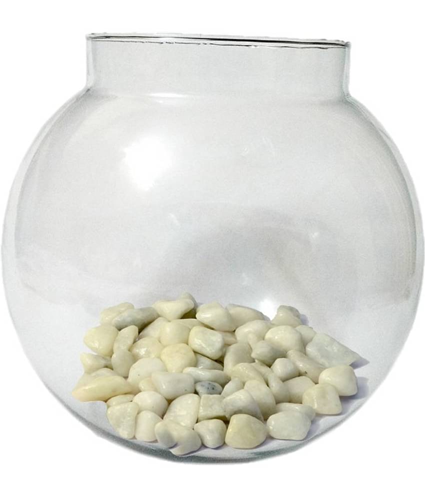 Somil - Glass Fish Bowl