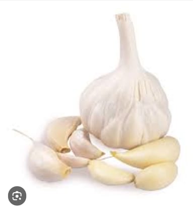 Garlic
