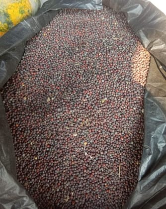 Black Mustard Seeds - 1 kg