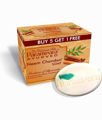 Parampara Ayurved Herbal/Ayurvedic Baby Soap 360 g ( 5 or more pcs )