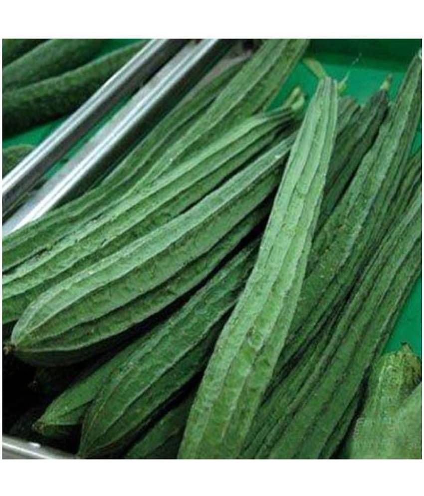 Ridge Gourd Seeds Variety Jaipur Long -20 Seeds Vegetable Seeds