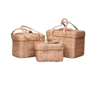 Weed to Wealth Gift Container, Set of 3