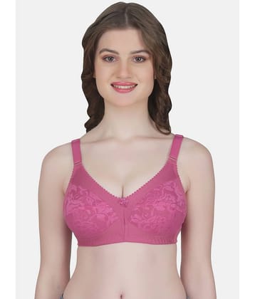 Eve's Beauty Cotton Blend Women's Everyday Bra ( Blue )